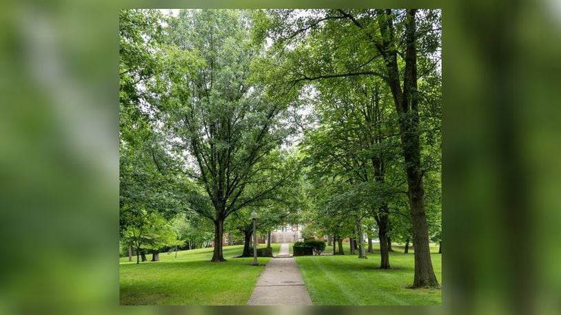 Wittenberg’s collection of trees has achieved official Level 1 ArbNet Accreditation, which denotes the university as an official arboretum. Contributed