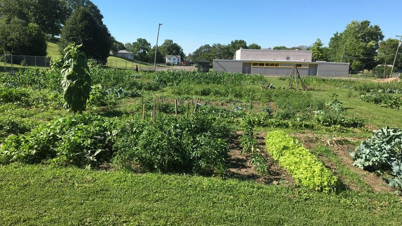 The Jefferson Street Oasis Garden.