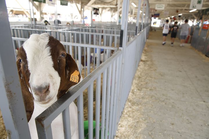 072224 Clark County Fair SNS