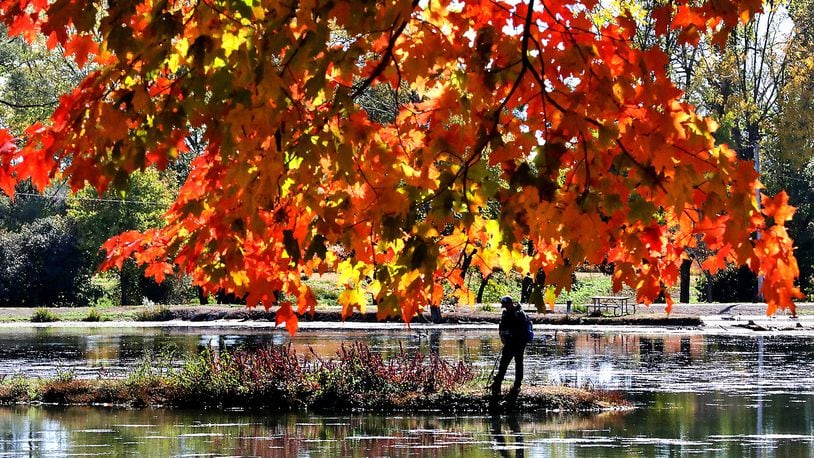 The fall leaves, backlit by the afternoon sun, glow red and yellow while a man in the background tries the fishing at Old Reid Park Tuesday. BILL LACKEY/STAFF