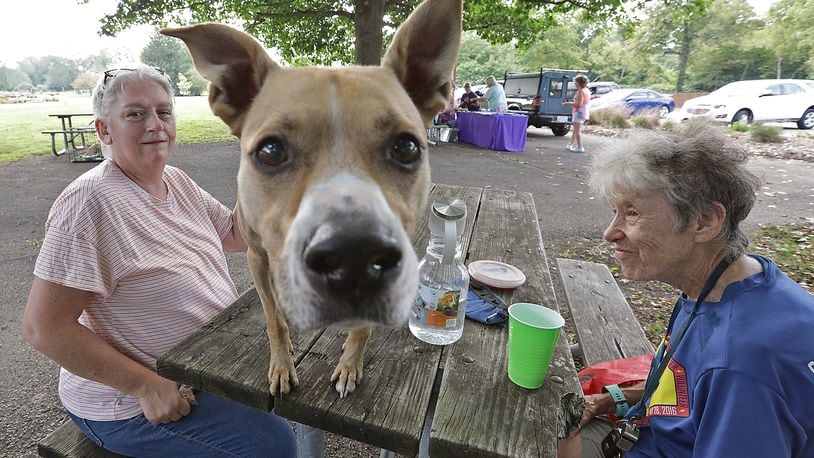 The Animal Welfare League of Clark County is having a special adoption event on Saturday. Here, Clyde, a rescue from the Animal Welfare League, enjoyed the National Trail Parks and Recreation's Yappy Hour with his owner Marilyn Corbin, right, and Mary Quinn a few years ago. FILE/BILL LACKEY/STAFF