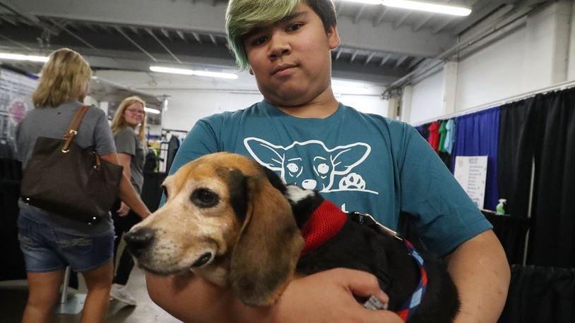 Lukah Stewart carries “Lucy,” a six-year-old beagle, through the Mercantile Building at the Clark County Fair Wednesday. The Clark County Dog Shelter has dogs for adoption at the fair this year and have found several of them homes. BILL LACKEY/STAFF