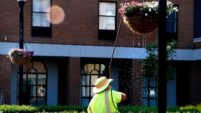 Water drips from a hanging basket as Dick Meeks, a City of Springfield employee, waters the flowers inside Monday morning on the Springfield Esplanade. The city once again placed hanging baskets of flowers on the light poles in the downtown area. In past years, the baskets of overflowing flowers become quite the spectacle thanks to Meeks' hard work. BILL LACKEY/STAFF. 