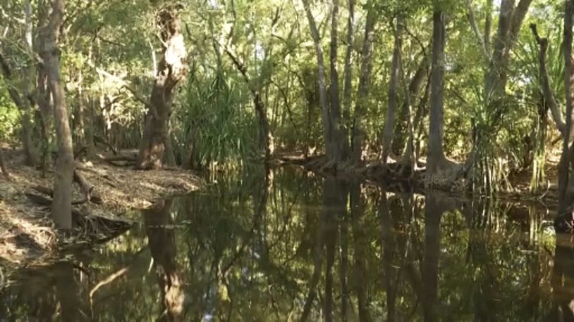 This image made from video provided by AuBC shows a part of an area in Palumpa, Australia, Thursday, July 4, 2024, where a girl was reported missing Tuesday after she went swimming. Police on Thursday found the remains of the 12-year-old girl, two days after she was snatched by a crocodile while swimming in the creek in remote northern Australia. (AuBC via AP)