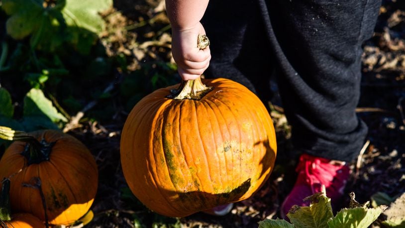 Pumpkins, hay rides, costumes and candy are all part of the potential fun at Halloween. NICK GRAHAM/STAFF