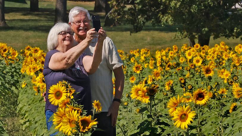 Steve and Janet Frederick take a selfie in the middle of the Yellow Springs sunflower field Monday, Oct. 2, 2023. BILL LACKEY/STAFF