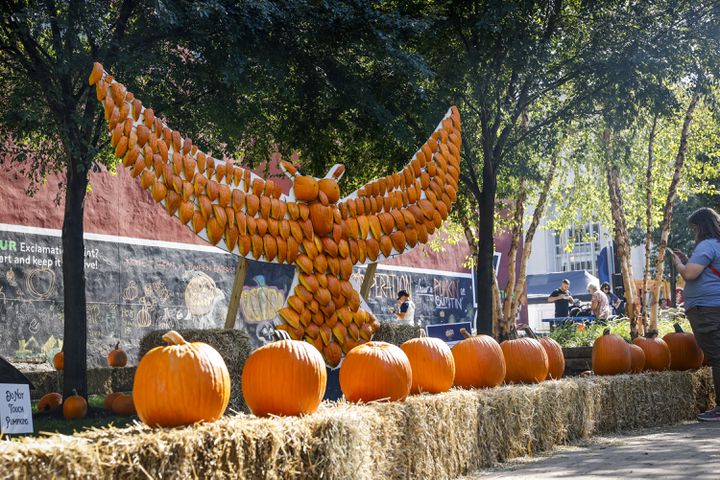 101323 Operation Pumpkin