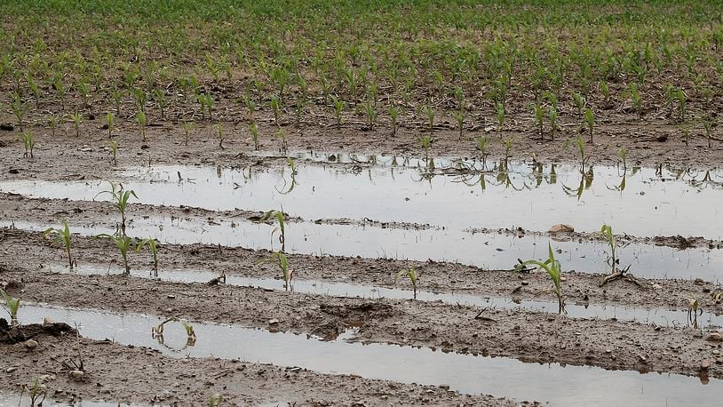 Excessive rain is delaying planting for Clark County farmers. Bill Lackey