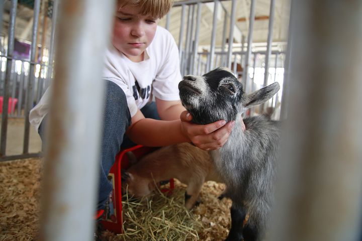 072324 Clark County Fair SNS