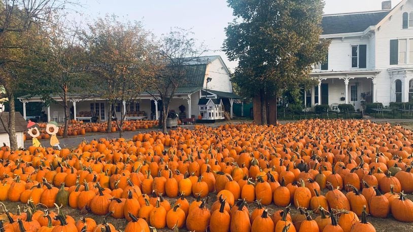 Kleather's Pumpkin Patch has a been a popular fall destination for almost half a century - CONTRIBUTED