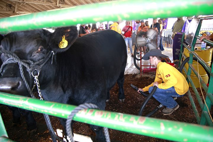 072624 Clark County Fair SNS