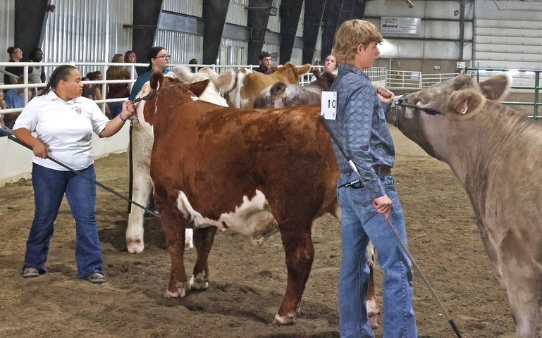 072524 Clark County Fair SNS