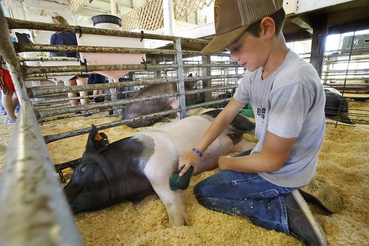 Clark County Fair SNS