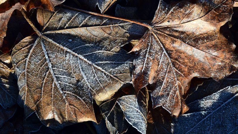 A picture of patchy frost possible.