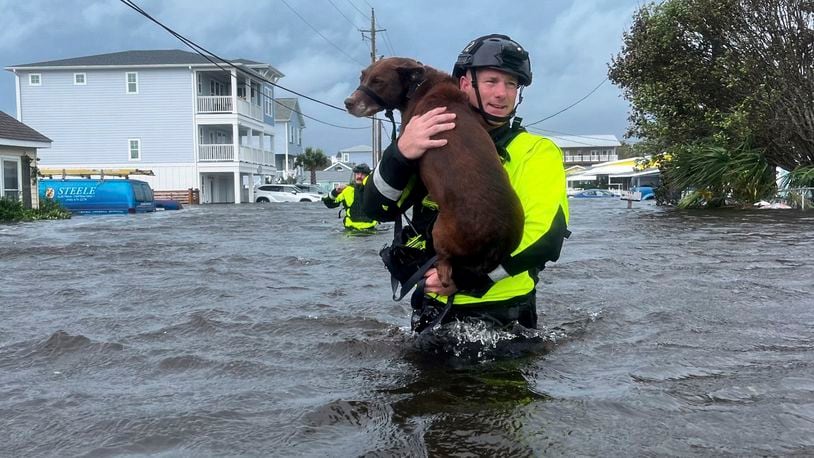 In this image provided by the Wilmington, N.C., Fire Department, a firefighter carries a dog through floodwaters, Monday, Sept. 16, 2024, in Kure Beach, N.C., (Wilmington Fire Department via AP)