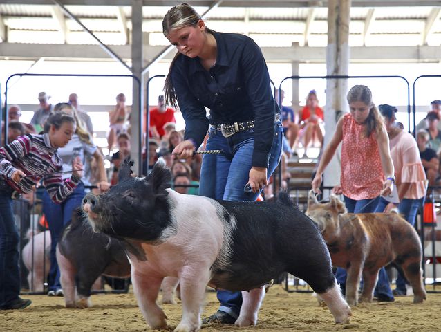 072324 Clark County Fair SNS