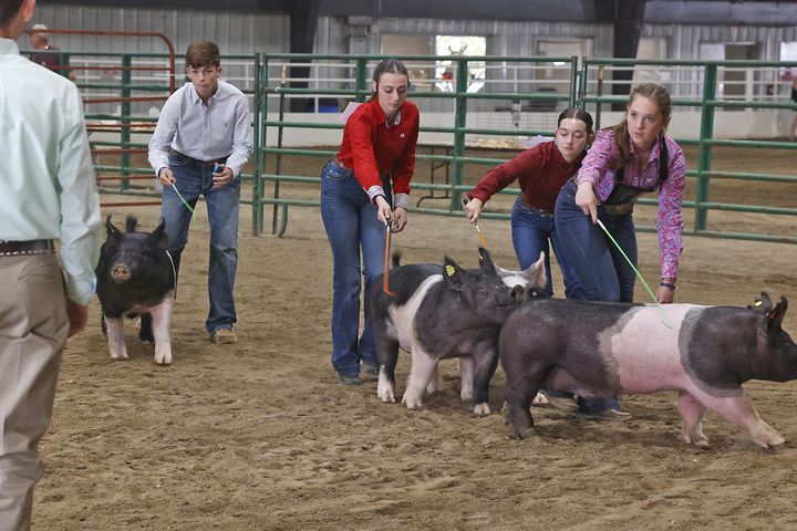 072524 Clark County Fair SNS