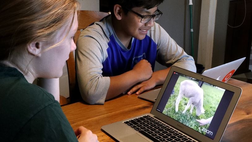 More than 1 million students in the U.S. and three continents have visited a farm through the Virtual Farm Trip program since 2015, including Global Impact STEM Academy. In this file photo, GISA students, Aubree Keener and her brother, Grey, took a virtual tour of a sheep farm at their home a few years ago. GISA has participated in several Virtual Farm Trips (VFT), which is ran by Shift-ology, over the years. VFTs connect students in the classroom to farmers in the barns/fields. FILE/BILL LACKEY/STAFF