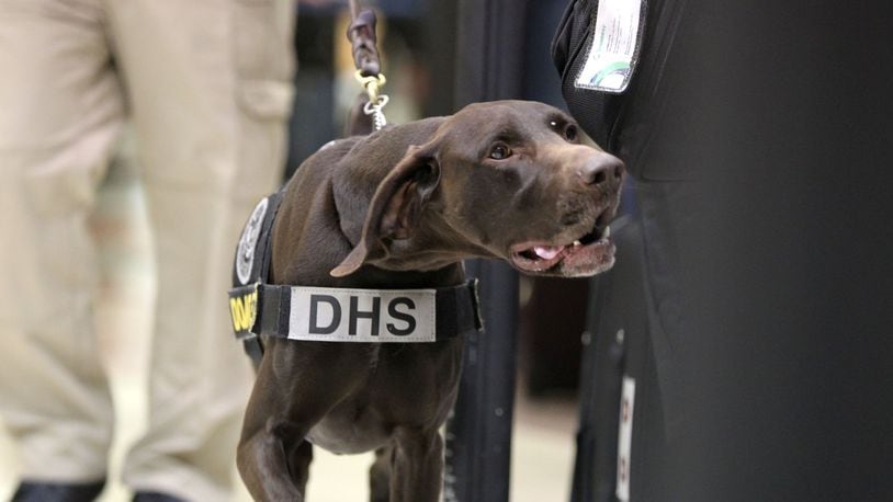 what are tsa dogs trained for
