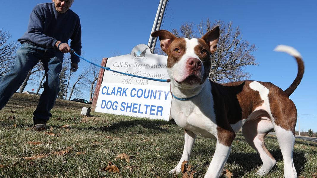 Clark County Dog Shelter awarded 19K grant from Springfield Foundation