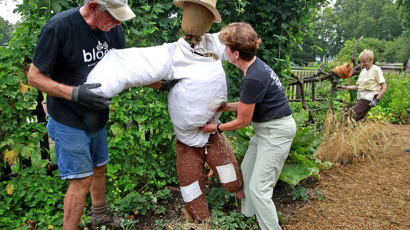 Master Gardeners Mark Finnegan and Kim Bachman set up the "Colonel White" scarecrow in the Early Ohio Settlers Garden at the Snyder Park Gardens and Arboretum Monday, July 29, 2024. The Master Gardeners are busy getting the gardens ready for the annual Garden Jubilee Saturday, Aug. 3, 2024. BILL LACKEY/STAFF