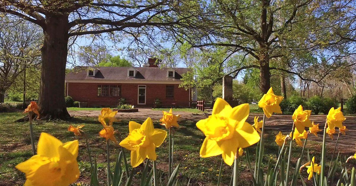 Springfield's Snyder Park Golf Course changing 3 years after closure