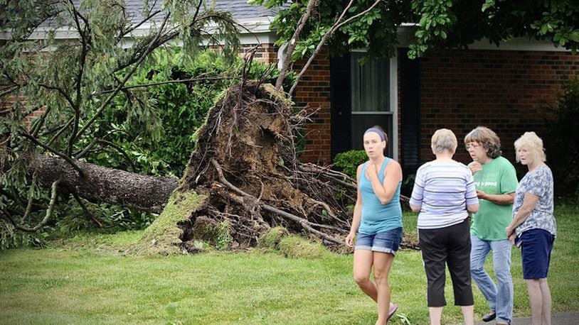 A large tree was uprooted on Rebecca Drive in Springfield Wednesday, June 8, 2022. An EF1 tornado touched down north of Springfield. MARSHALL GORBY \STAFF