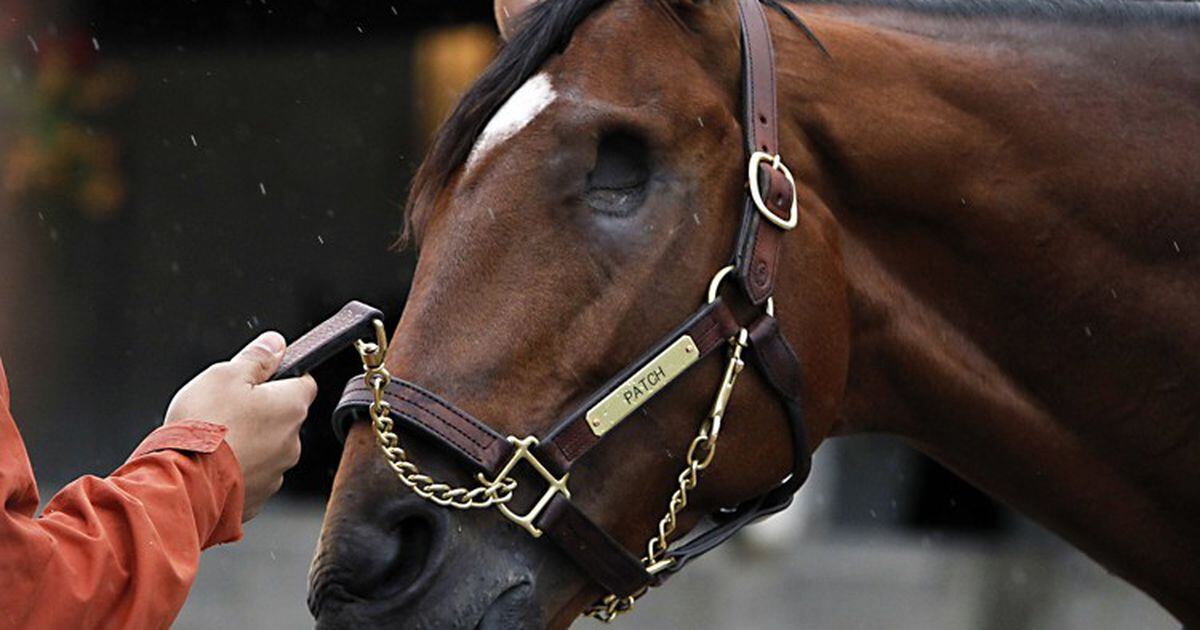 2017 kentucky derby video