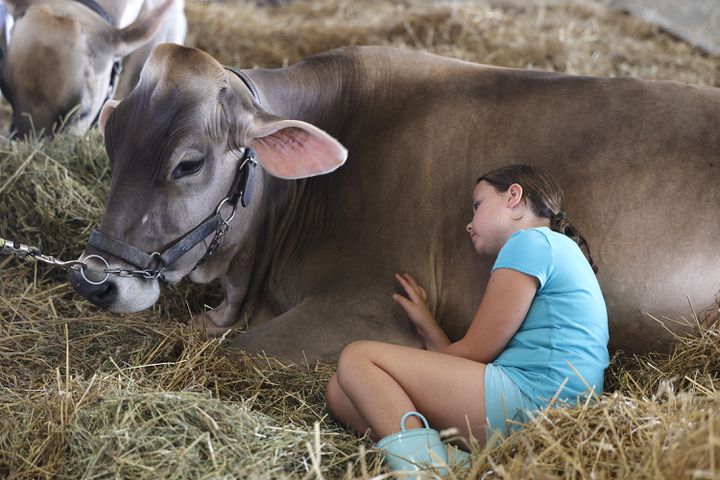 Clark County Fair SNS