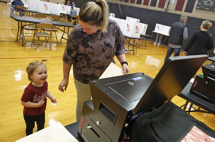 Election Day Voting SNS