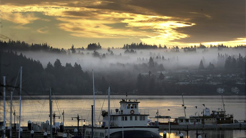 FILE - Low clouds hover in the trees in Port Orchard seen from the Bremerton Harborside Marina in Bremerton, Wash., on Dec. 22, 2014. (Larry Steagall/Kitsap Sun via AP, File)