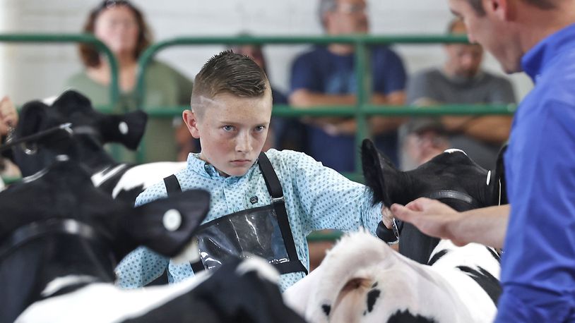 Austin Cox, 13, keeps his eyes on the judge as he shows his calf Sunday, July 21, 2024 at the Clark County Fair. BILL LACKEY/STAFF