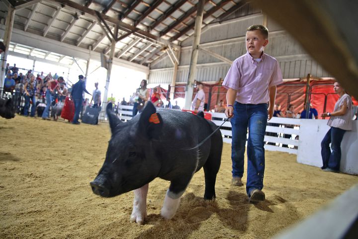 072324 Clark County Fair SNS