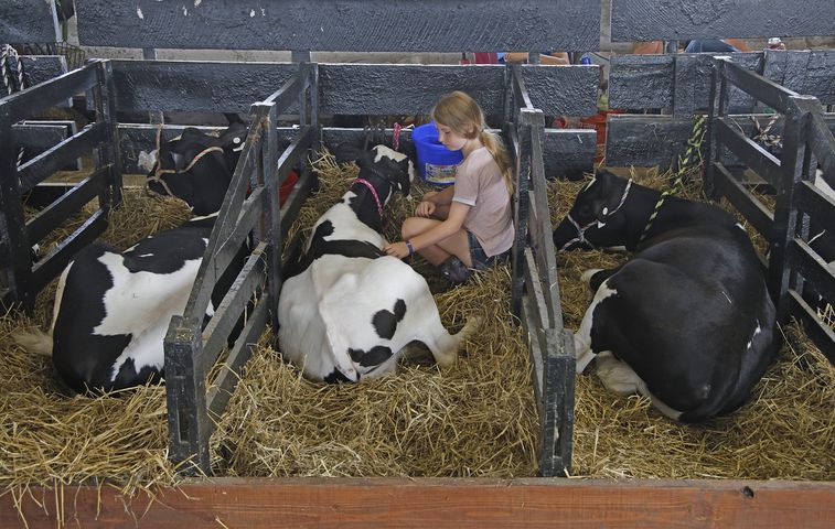 072224 Clark County Fair SNS