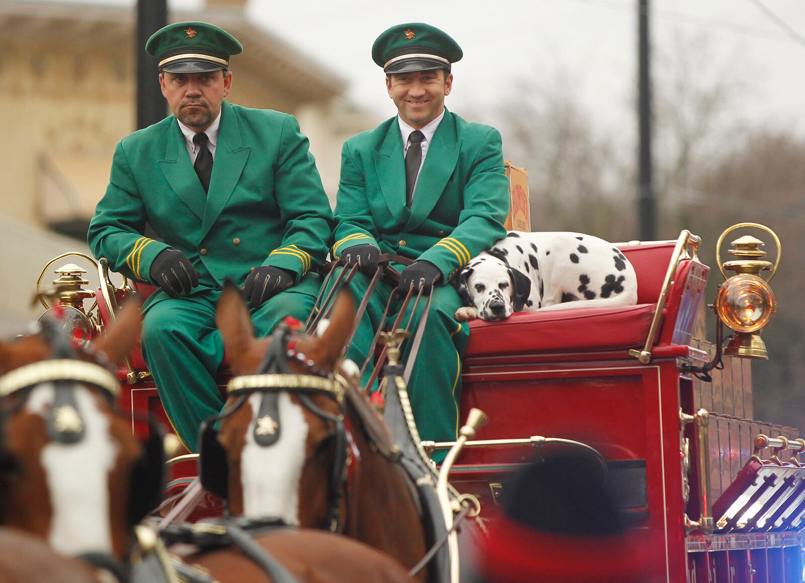 The Budweiser Clydesdale hitch team visited Dayton on Wednesday to deliver beer to several businesses on Brown Street.     TY GREENLEES / STAFF