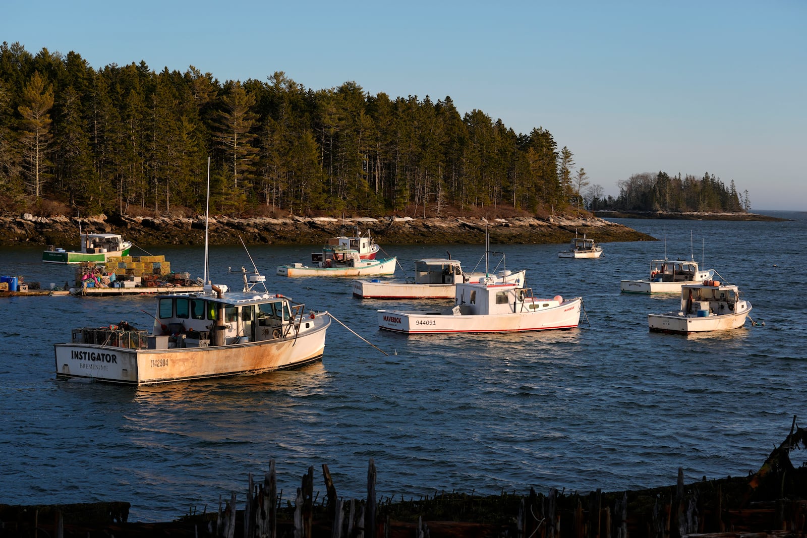 Fishing boats are moored for the evening, Tuesday, March 11, 2025, in Bremen, Maine. (AP Photo/Robert F. Bukaty)