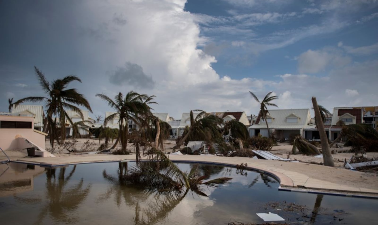 Bowed palm trees lean  before a sand-filled swimming pool in the Baie Nettle area of Marigot, on September 10, 2017 on Saint-Martin island, devastated by Hurricane Irma.  
People on the islands of Saint Martin and Saint Barts turn to the colossal task of rebuilding after Hurricane Irma laid waste to their infrastructure and shattered their lives. / AFP PHOTO / Martin BUREAU        (Photo credit should read MARTIN BUREAU/AFP/Getty Images)