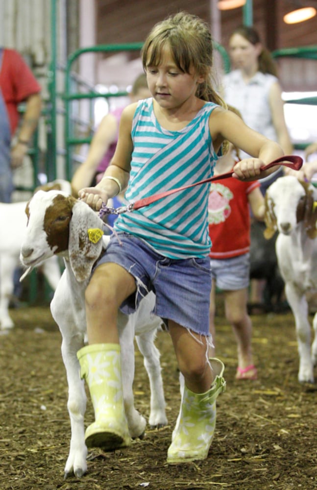 Pee Wee Goat Showmanship - Clark County Fair