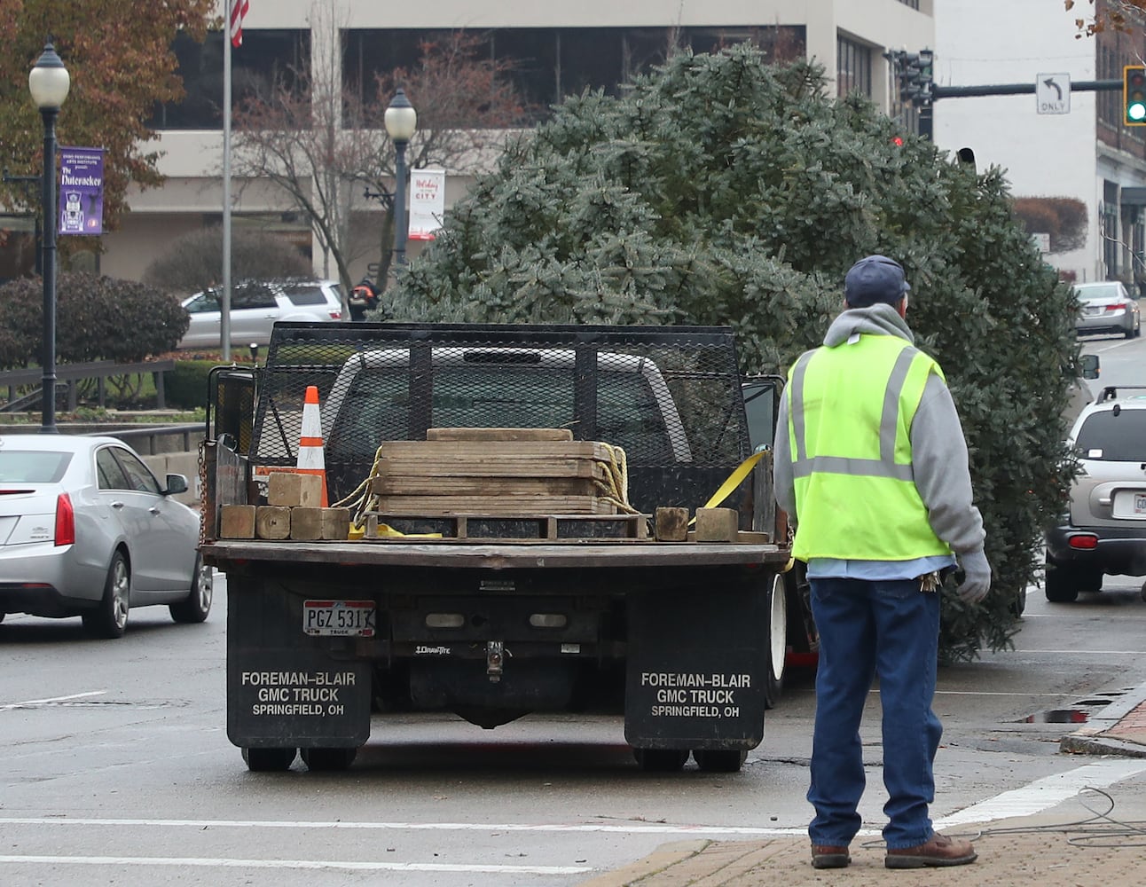 Springfield Gets Holiday Tree