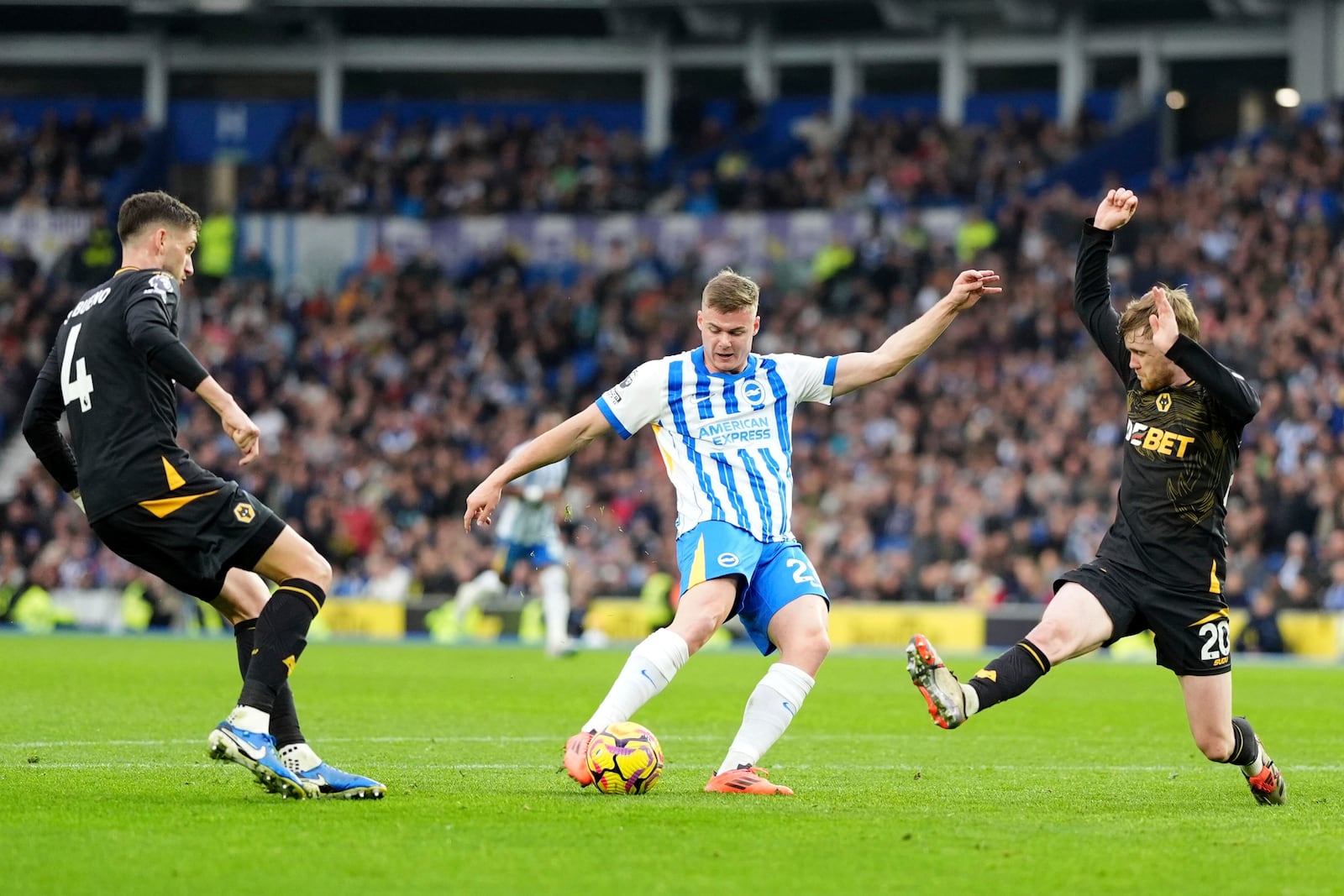 Brighton's Evan Ferguson, center, scores his side's second goal of the game, during the English Premier League soccer match between Brighton and Hove Albion and Wolverhampton Wanderers, at the American Express Stadium, in Brighton and Hove, England, Saturday, Oct. 26, 2024. (Adam Davy/PA via AP)