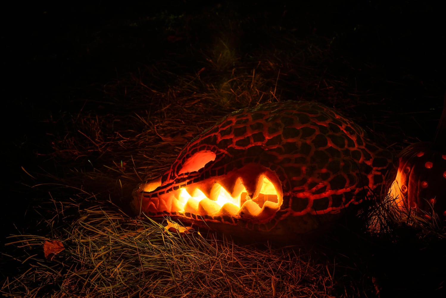 PHOTOS: The 30th annual Stoddard Avenue Pumpkin Glow