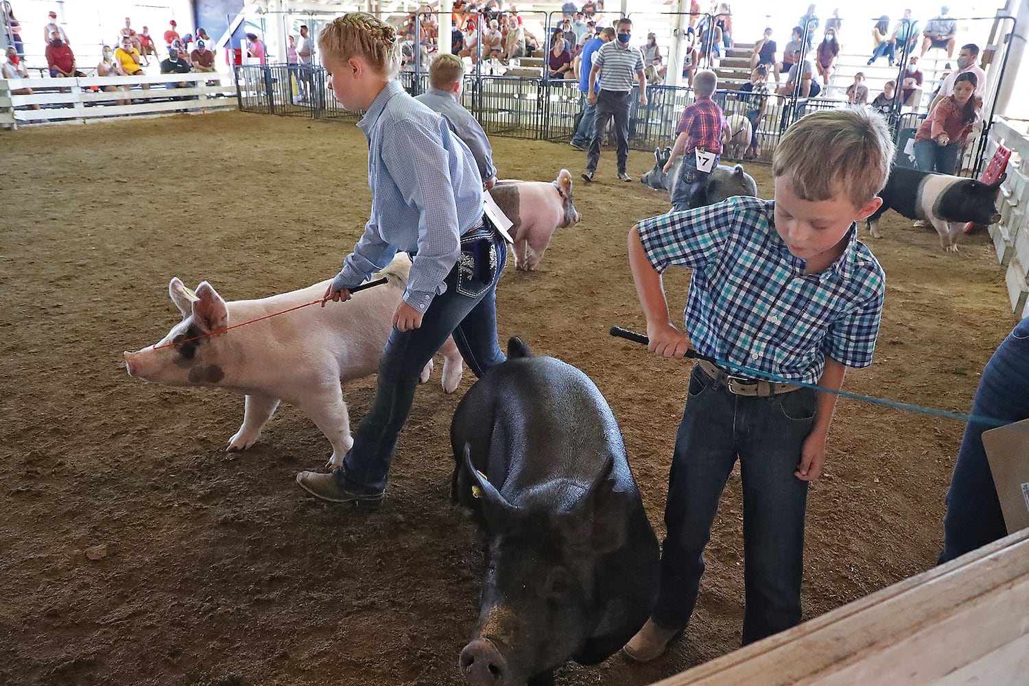 Clark County Fair