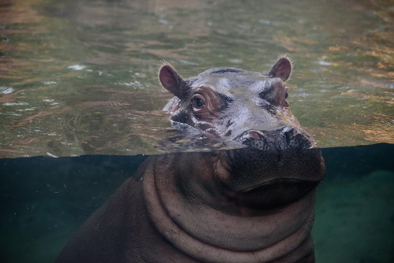 BEHIND THE SCENES: Take a look at what Fiona and Bibi are up to after hours