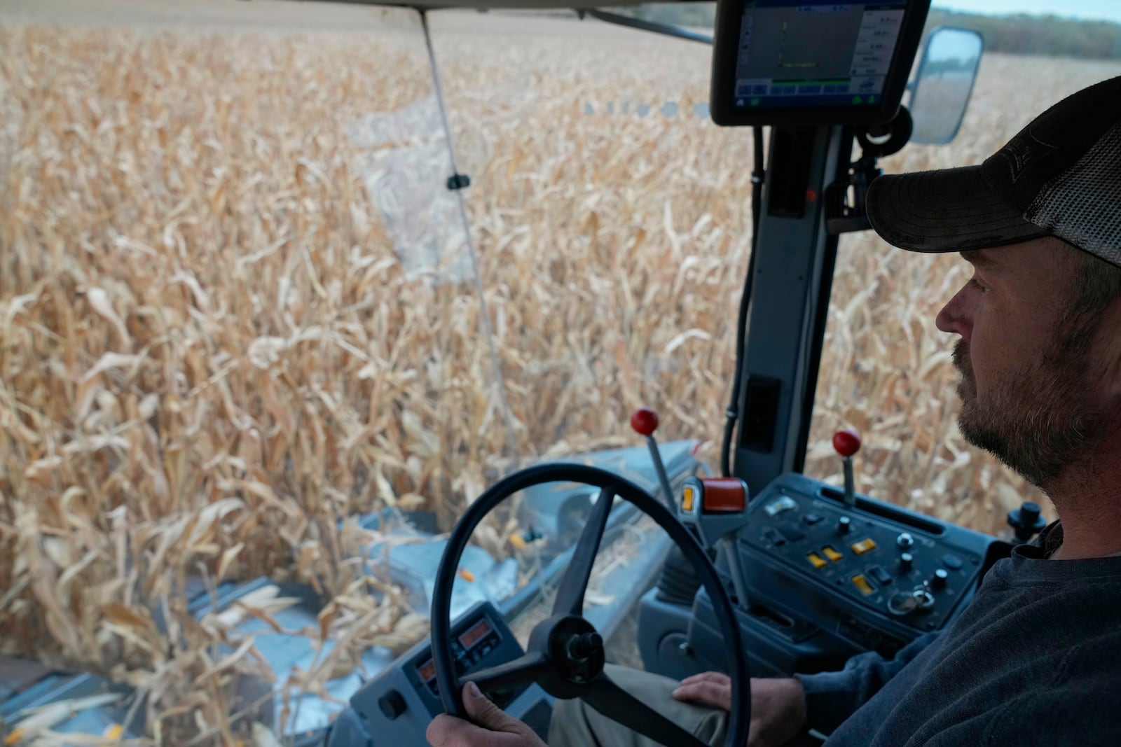 Martin Larsen drives his combine while harvesting corn, Friday, Oct. 18, 2024, in Oronoco, Minn. (AP Photo/Abbie Parr)