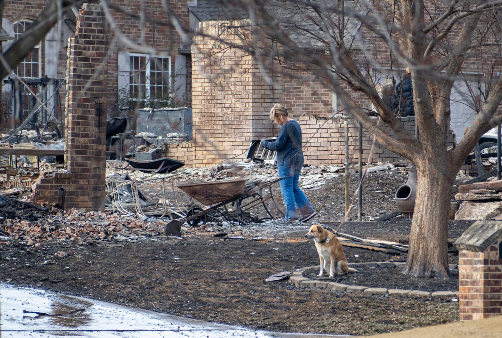 A dog sits in the front yard as a Stillwater, Okla., resident assesses the damage in the Crosswinds and Pecan Hill communities, Saturday, March 15, 2025, due to Friday's wildfires on the west side of town. (Jason Elmquist/The News Press via AP)