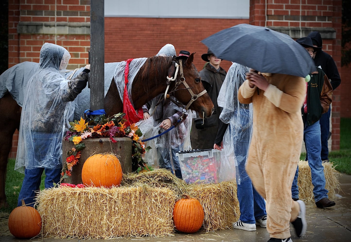 PHOTOS: Tecumseh AFJROTC Trunk-or-Treat