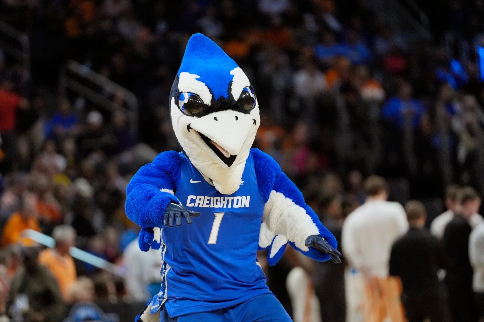 Billy Bluejay, the Creighton mascot, performs during the first half of a Sweet 16 college basketball game between Creighton and Tennessee in the NCAA Tournament, Friday, March 29, 2024, in Detroit. (AP Photo/Paul Sancya)