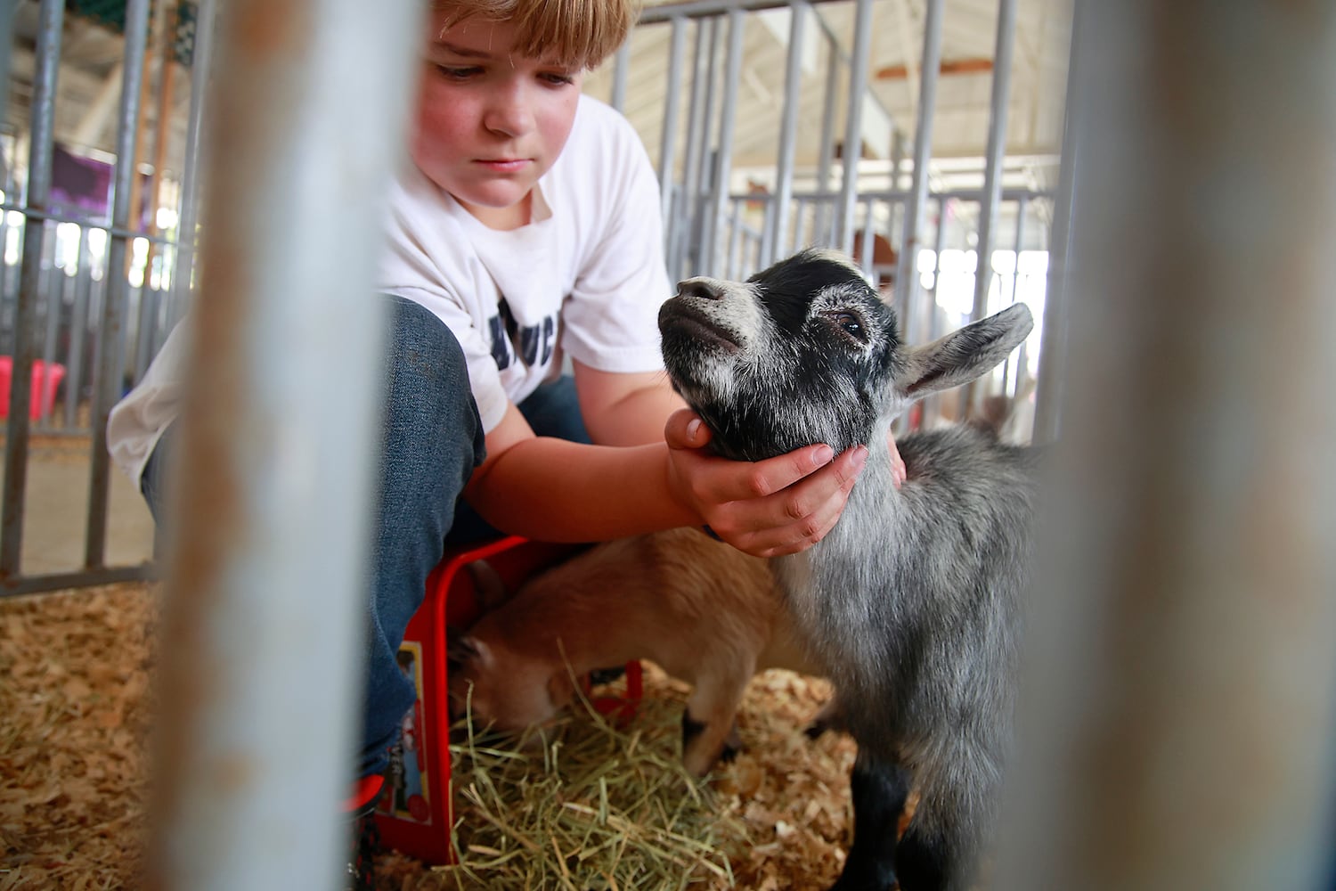 072324 Clark County Fair SNS