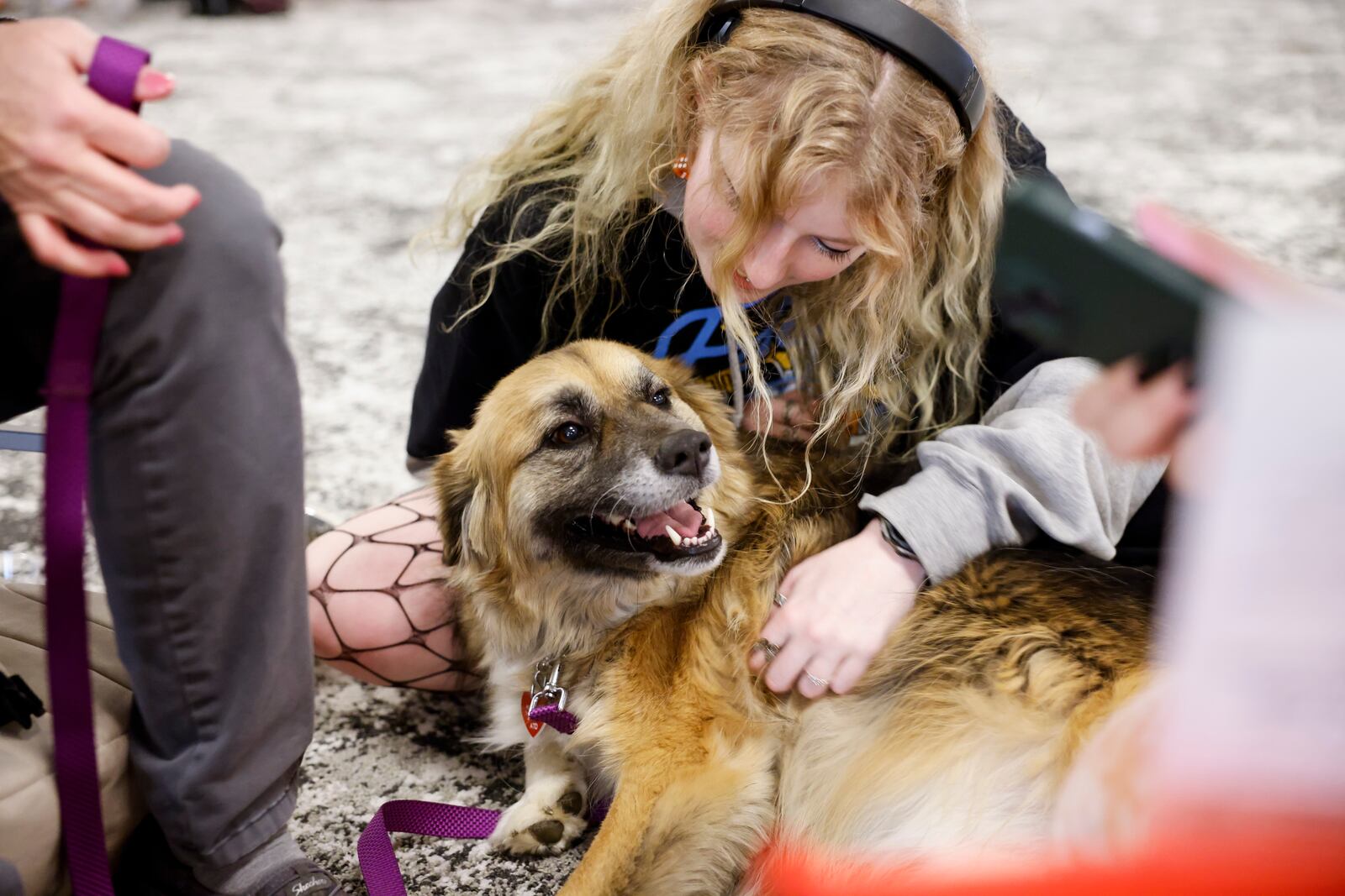 Miami freshman Catie Strode pets therapy dog Luke Skywalker during Stress Less Day Thursday, April 6, 2023 at Armstrong student center at Miami University in Oxford. Many organizations had booths at the event with snacks, handouts, therapy dogs, massages and more. Miami UniversityÕs suicide prevention team and the student counseling service are sponsoring a weeklong campaign to spread awareness about suicide prevention as well as stress management, self-care, and improving well-being. NICK GRAHAM/STAFF