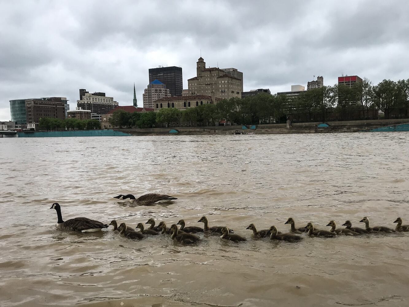 PHOTOS: Flooding blocks roads after 2 days of heavy rain